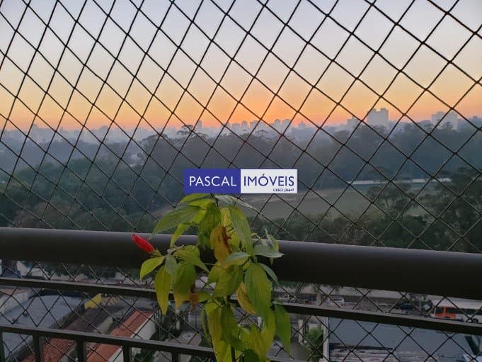 Apartamento em Vila Cruzeiro