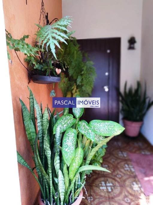 Casa comercial em Campo Belo