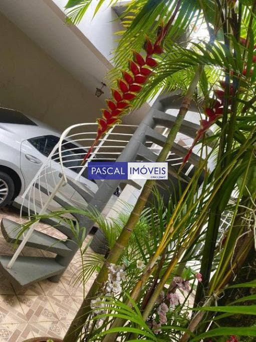 Casa em Jardim Europa